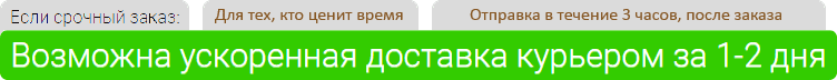 Срочная доставка курьером цветомузыки в 2026 году